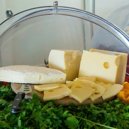 Terrazza Marconi Hotel&spamarine Senigallia